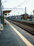 NEC_0066.jpg